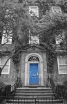 Blue Door