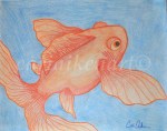 Gold Fish