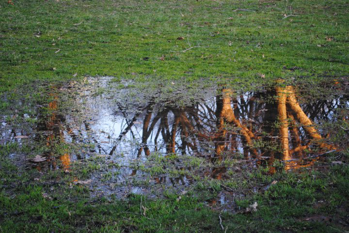 Weekly Photo Challenge: Reflections (Part 3)