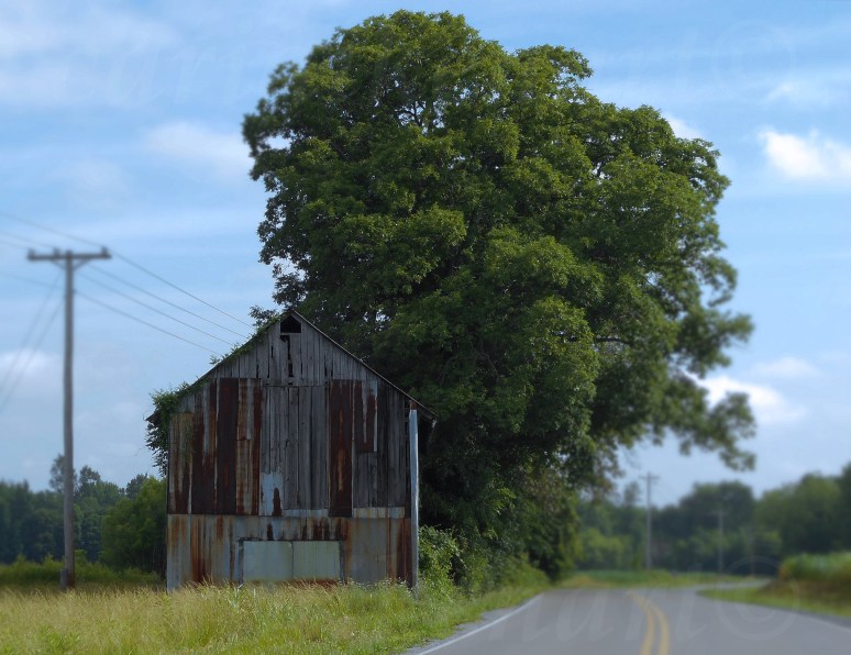 Old Barn 11