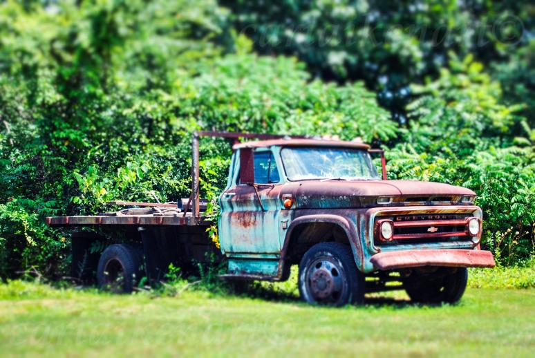 Old Rusty Chevy