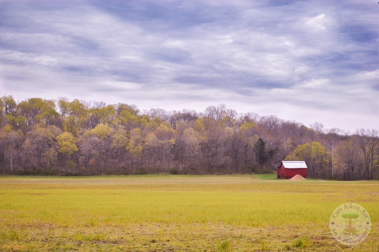 Barn & Field