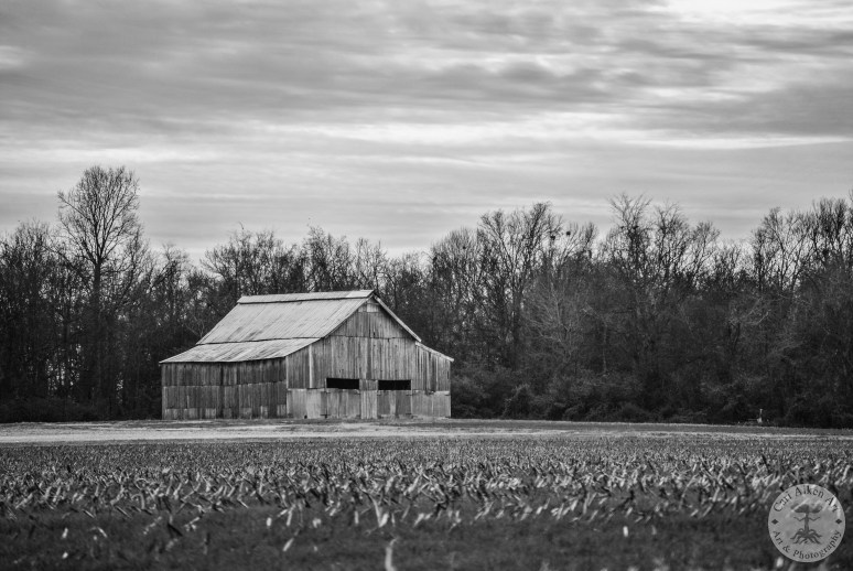 Old Winter Barn 1 black n white WM