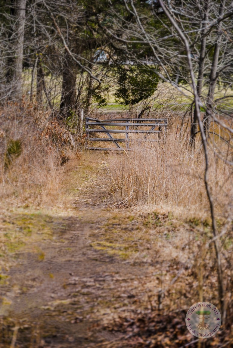 Old Gate on Trail WM